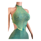 Preety Aura Sparkle Dress