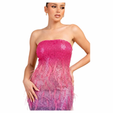 Main Event Sequin Fringe Mini Dress