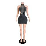 Preety Aura Sparkle Dress