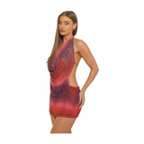 Preety Crimson Muse Dress