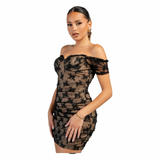 Private Affair Lace Mini Dress