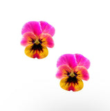 Bloom Babe Flower Pasties
