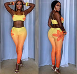 Lily Sunshine set